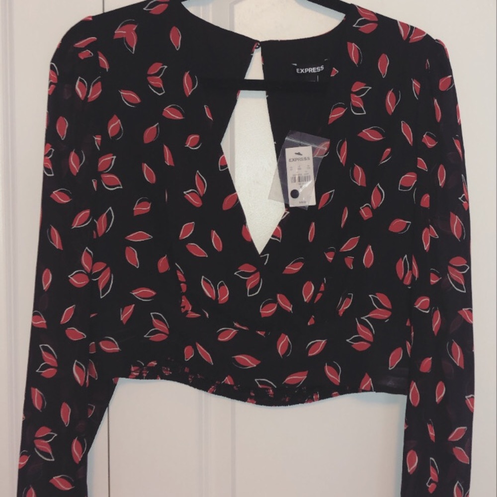 EXPRESS cropped long sleeve